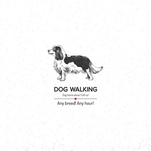 Предпосылки / контекст with King Charles Spaniel for dog walking business — стоковый вектор