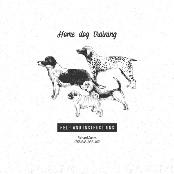 Fundo com cães desenhados à mão para o negócio de treinamento de cães — Vetor de Stock