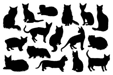 16 çizilmiş kedi siluetleri el.