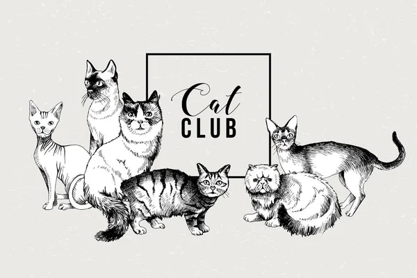 Bandiera Cat club — Vettoriale Stock