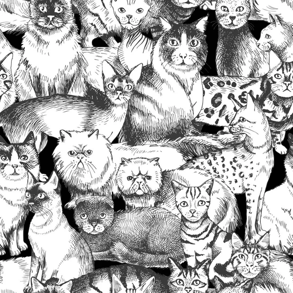 Modèle sans couture avec 16 chats de race dessinés à la main — Image vectorielle