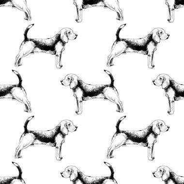 Beagles ile Seamless modeli