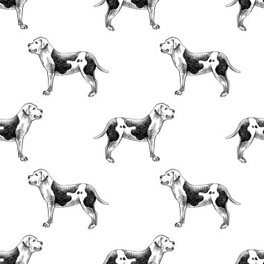 Elle çizilmiş seamless modeli ile Amerikan Bulldogların