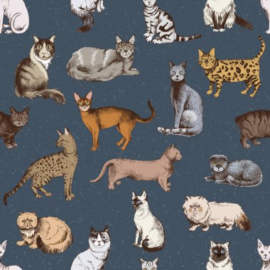 Purebred kedi 16 el ile Seamless modeli çizilmiş