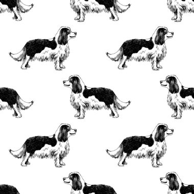 King Charles Spaniel seamless modeli el ile çizilmiş