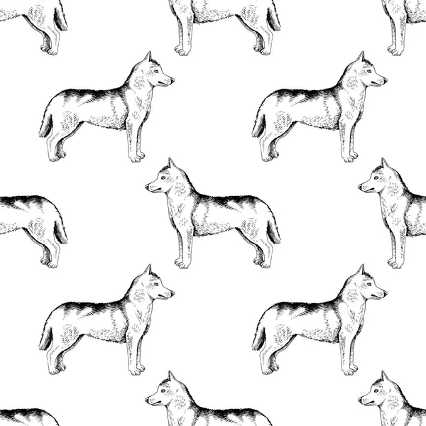Naadloze patroon met hand getrokken siberian huskies — Stockvector