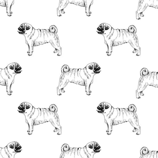 Seamless pattern with hand drawn pugs — Stock Vector