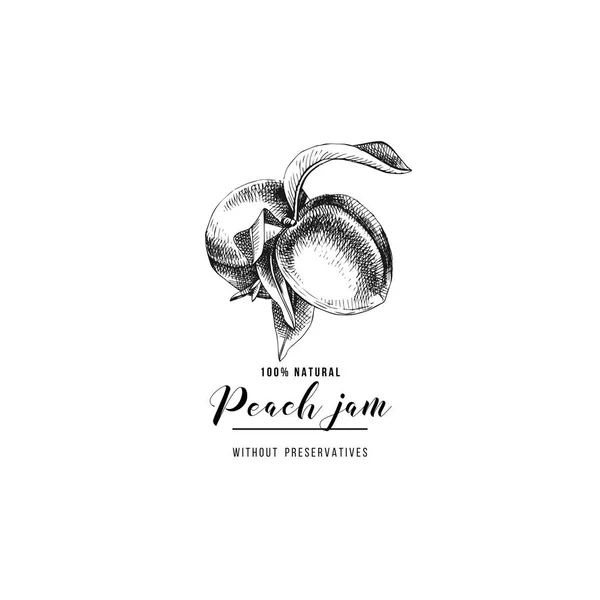 桃のジャムのロゴのテンプレート — ストックベクタ