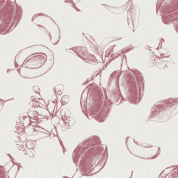 Modèle sans couture avec des fleurs et des fruits de prune dessinés à la main — Image vectorielle