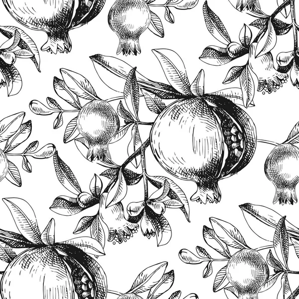 Monochromes Nahtloses Muster Mit Handgezeichneten Granatäpfeln Vektorillustration — Stockvektor