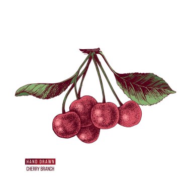 çizilmiş kiraz el