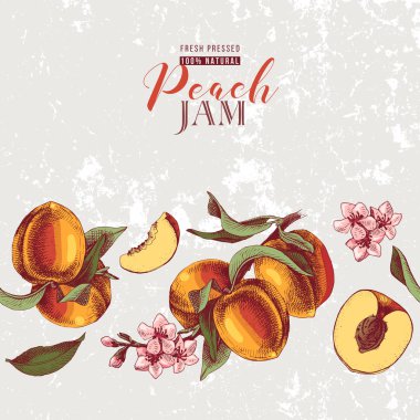 Vintage tarzı el çekilmiş şeftali sorunsuz sınır arka plan