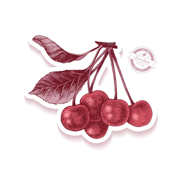 Pegatina con rama de cereza dibujada a mano — Vector de stock