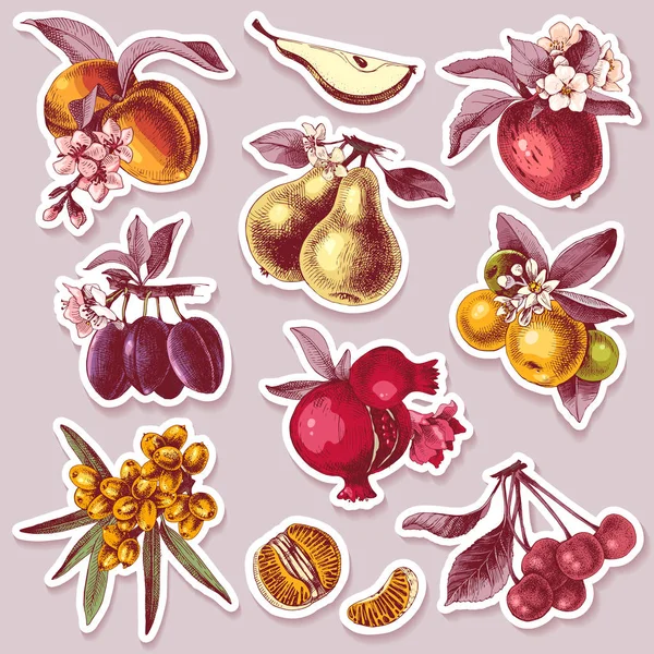Vektör set elle çizilmiş meyve ile Yapışkan etiketleri