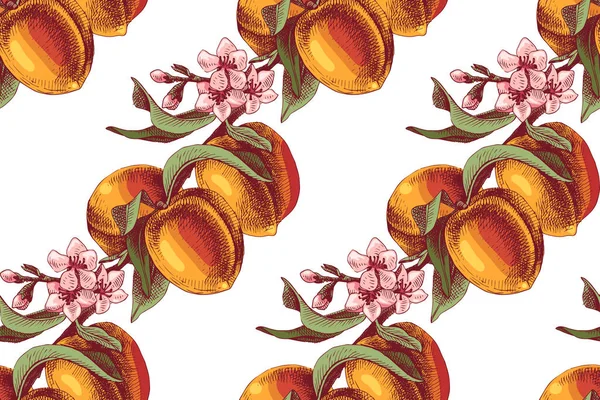 Peach branches seamless pattern — Stock Vector