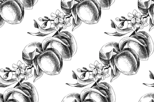 桃の枝のシームレス パターン — ストックベクタ