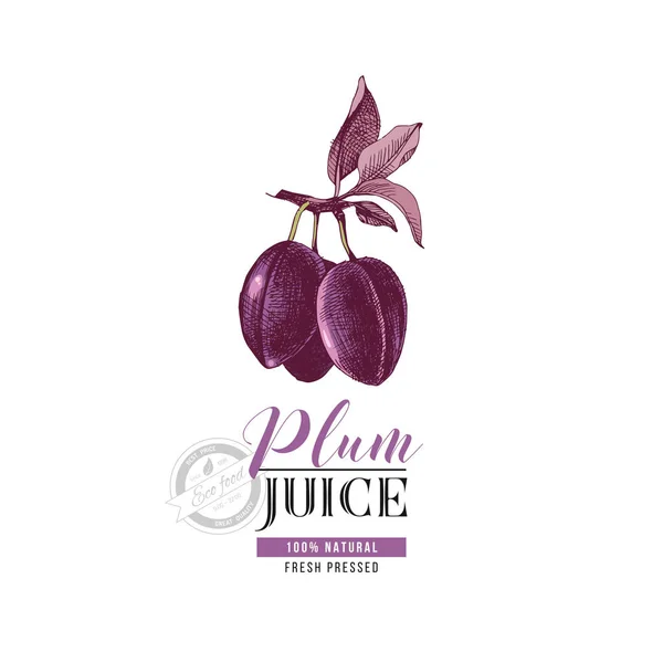 Plommon juice logotyp mall — Stock vektor