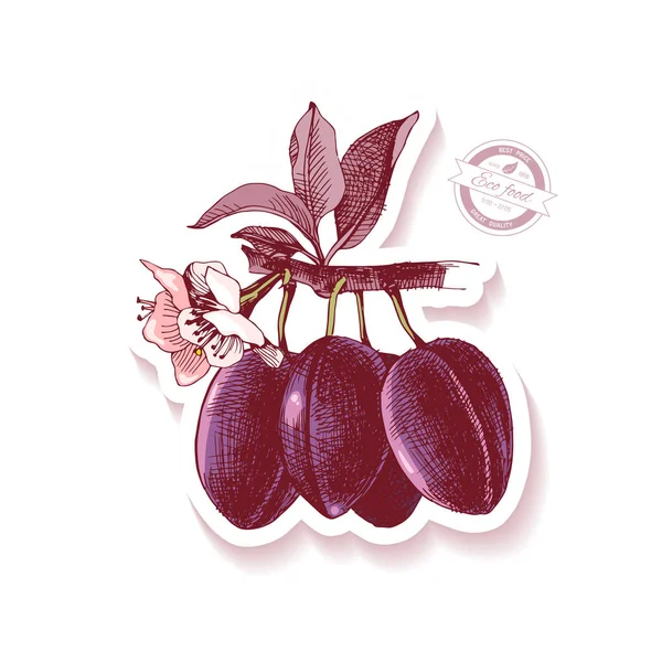 Sticker met de hand getekende plum branch — Stockvector