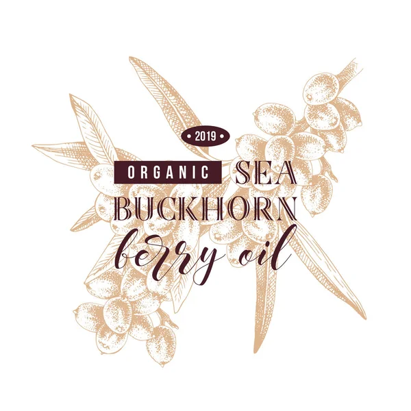 Moře buckhorn berry olej typ konstrukce — Stockový vektor