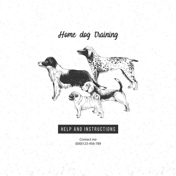 Fondo con perros dibujados a mano para el negocio de entrenamiento de perros — Vector de stock