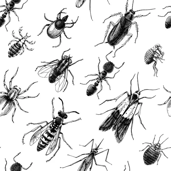 Pest control sömlösa mönster — Stock vektor