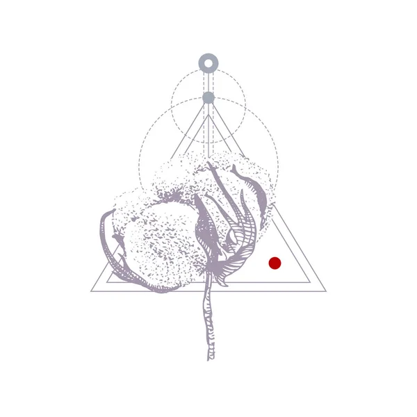Geometrie-Tätowierung mit handgezogener Baumwolle — Stockvektor