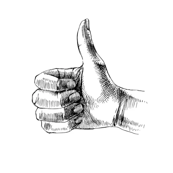 Sketched thumb up gestur - Stok Vektor