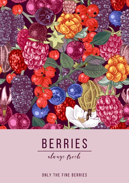 Vertical banner with berries — Stock Vector