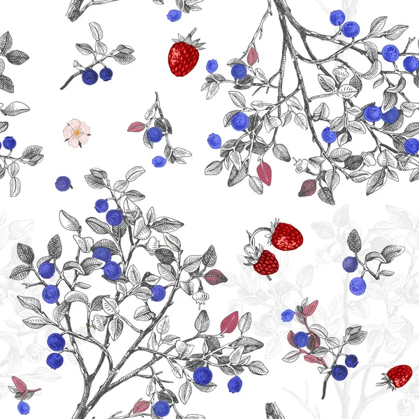 Smidig pattrn med blåbär buskar — Stock vektor