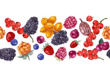 Sorunsuz kenarlıklı el çekilmiş çilek