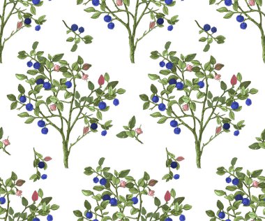 Yaban mersini çalı ile sorunsuz pattrn