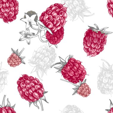 ile Seamless Modeli el çekilmiş ahududu