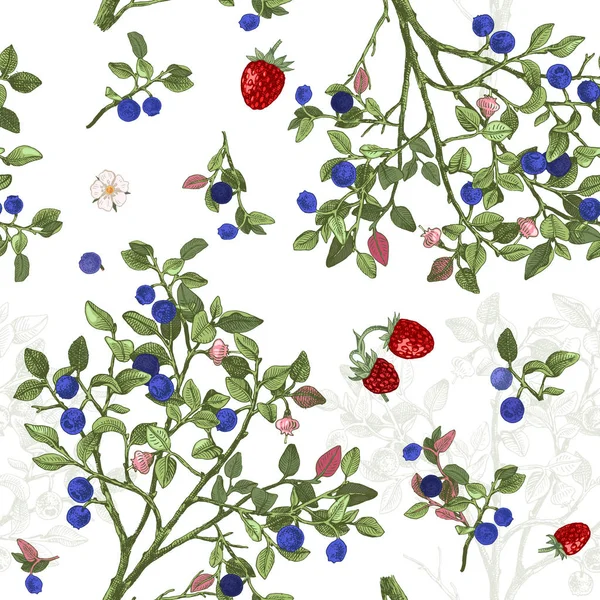 Elegante Naadloze Patroon Met Hand Getrokken Blueberry Struiken Wilde Aardbeien — Stockvector