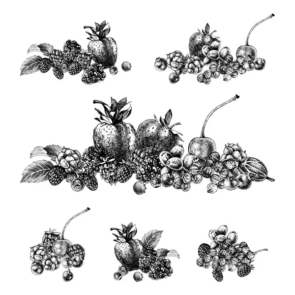 Schwarz-weiße Designs mit handgezeichneten Beeren — Stockvektor
