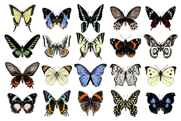 Coleção de borboletas desenhadas à mão — Vetor de Stock