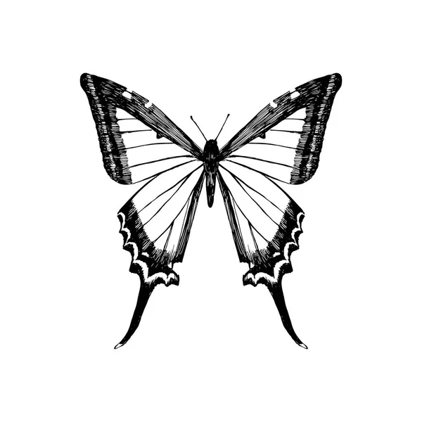 Farfalla gialla a coda di rondine disegnata a mano — Vettoriale Stock