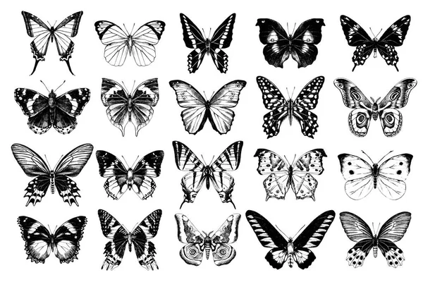 Colección de mariposas dibujadas a mano — Archivo Imágenes Vectoriales