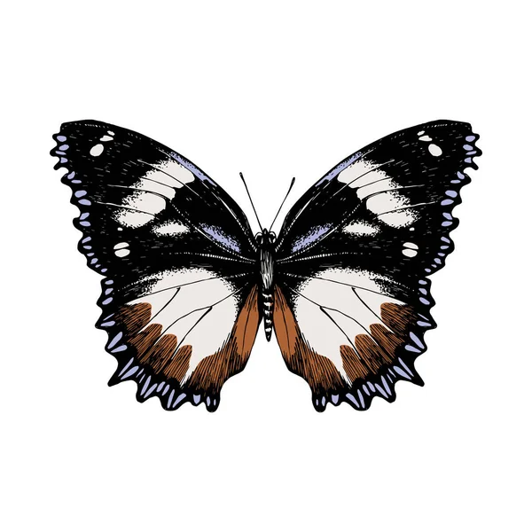 Mariposa dibujada a mano sobre fondo blanco — Vector de stock