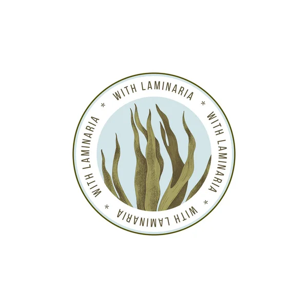 Round emblem with hand drawn laminaria digitata seaweed — Stock Vector