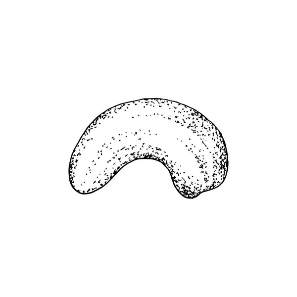 白い背景に隔離された手描きのカシューナッツ — ストックベクタ