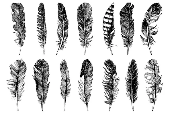 14 plumas dibujadas a mano aisladas sobre fondo blanco — Vector de stock