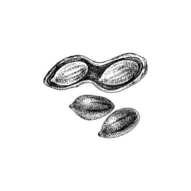 el çekilmiş fıstık