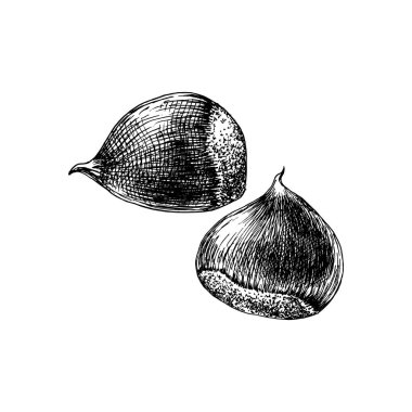 Elle çizilmiş kestane