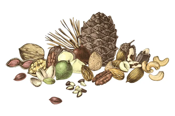 Frontera con nueces comestibles dibujadas a mano — Archivo Imágenes Vectoriales