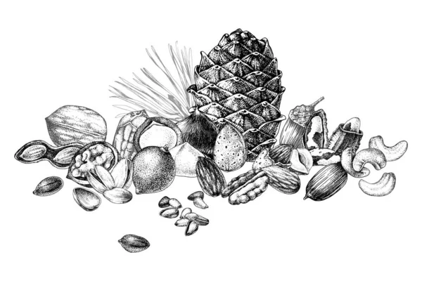 Frontera con nueces comestibles dibujadas a mano — Vector de stock