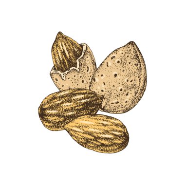 Elle çizilmiş badem