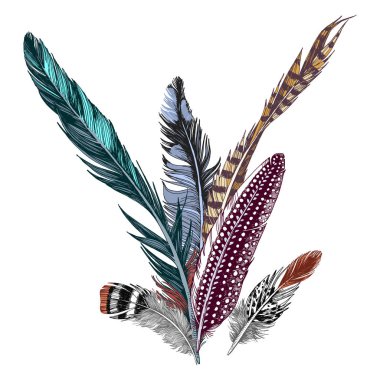 Renkli el tüyleri beyaz zemin üzerine çekilmiş.