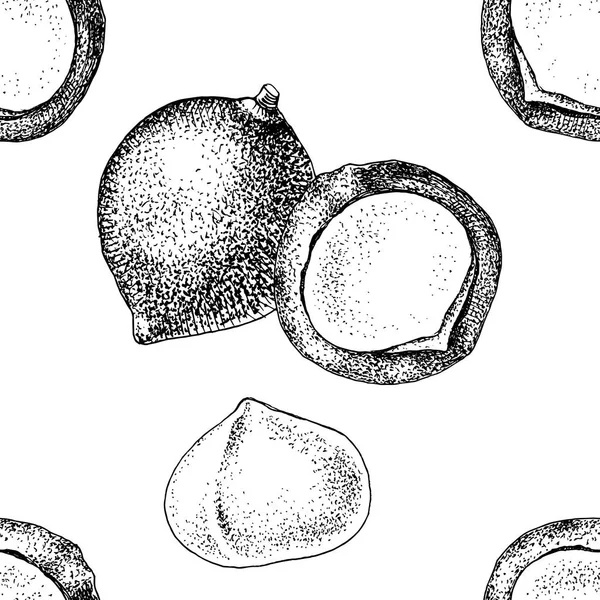 El çizilmiş macadamia fındık ile dikişsiz desen. — Stok Vektör