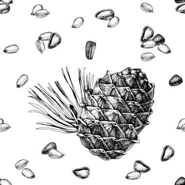 El çizilmiş sedir tümsek ve çam fıstığı ile dikişsiz desen