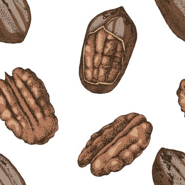 Elle çekilmiş pekan somunları ile dikişsiz desen